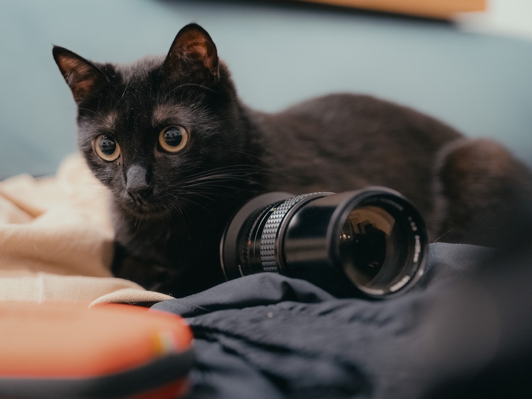 The Art of Choosing Your Photography Gear: A Journey Beyond the Basics The Art of Choosing Your Photography Gear: A Journey Beyond the Basics